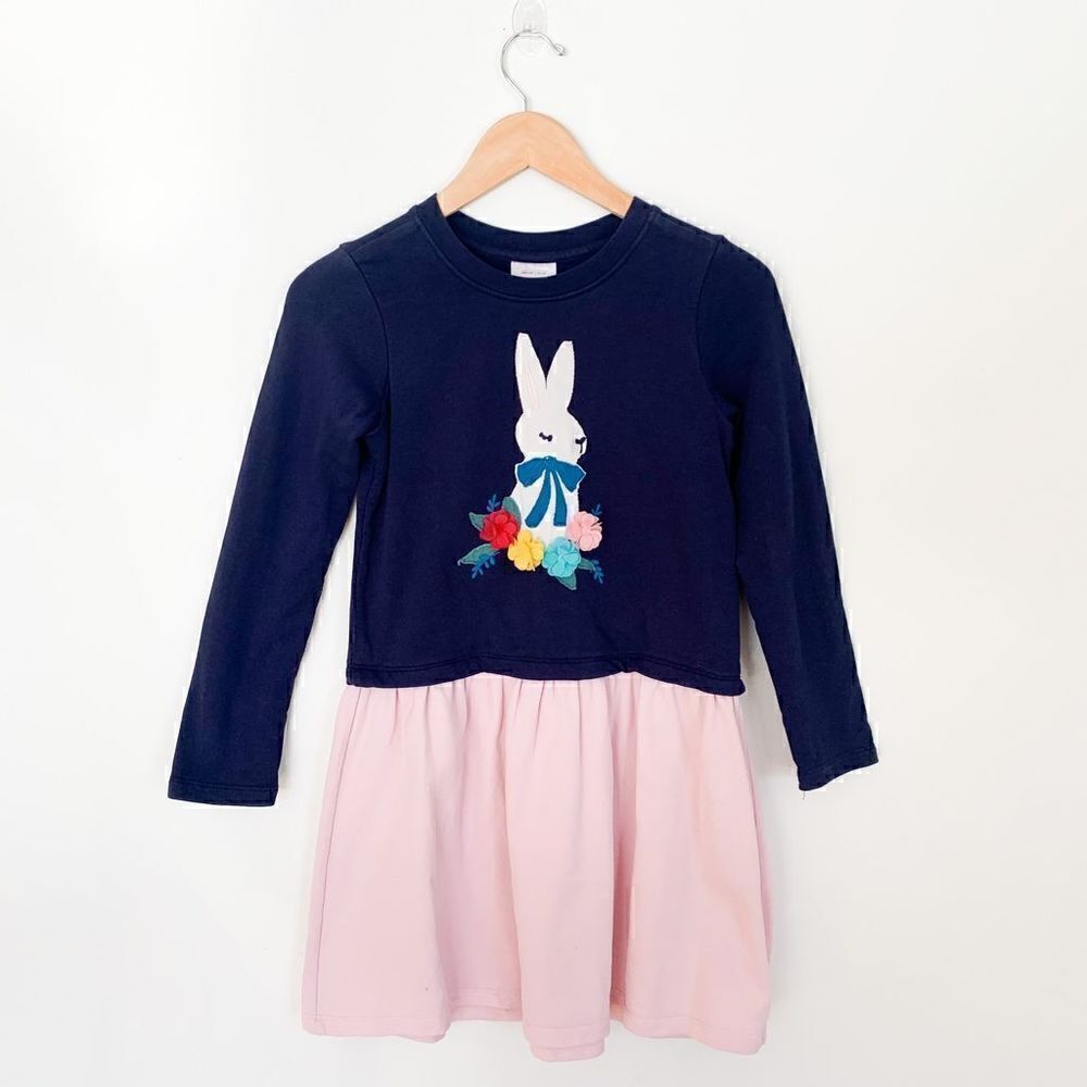 Hanna Andersson embroidered floral bunny color block long sleeve dress